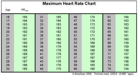 BodySpex Scale / Body Fat Percentage Chart