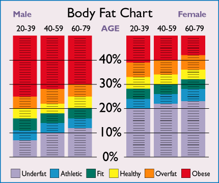 BodySpex Scale / Body Fat Percentage Chart