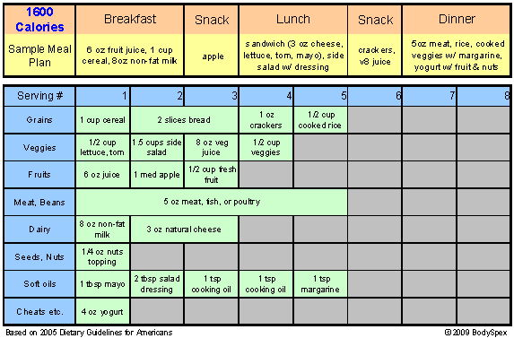 1600 Calorie Sample Meal Plan